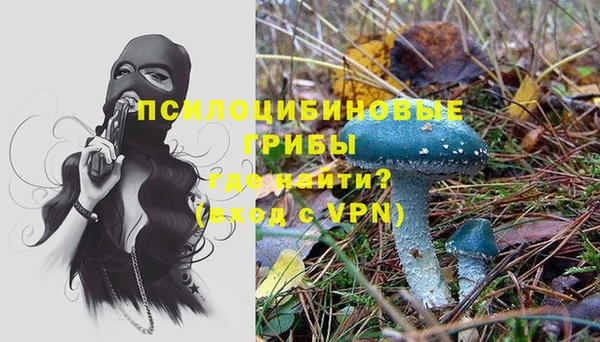 стаф Абдулино