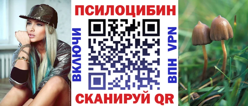 Галлюциногенные грибы MAGIC MUSHROOMS  Новое Девяткино 
